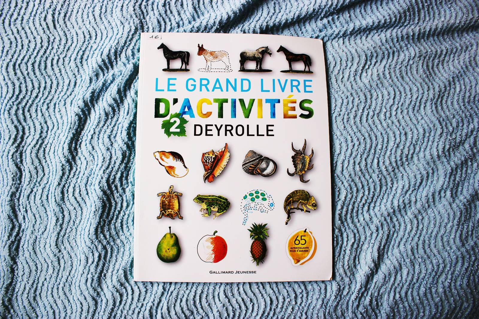 Le grand livre d activites deyrolles 2 ief ecole maison