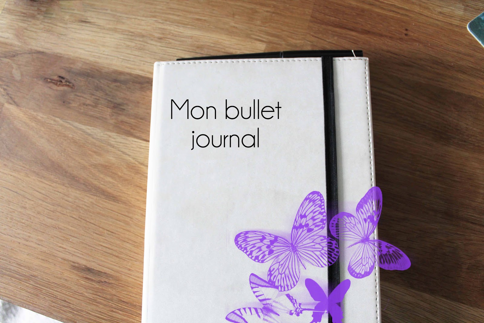 Mon bullet journal