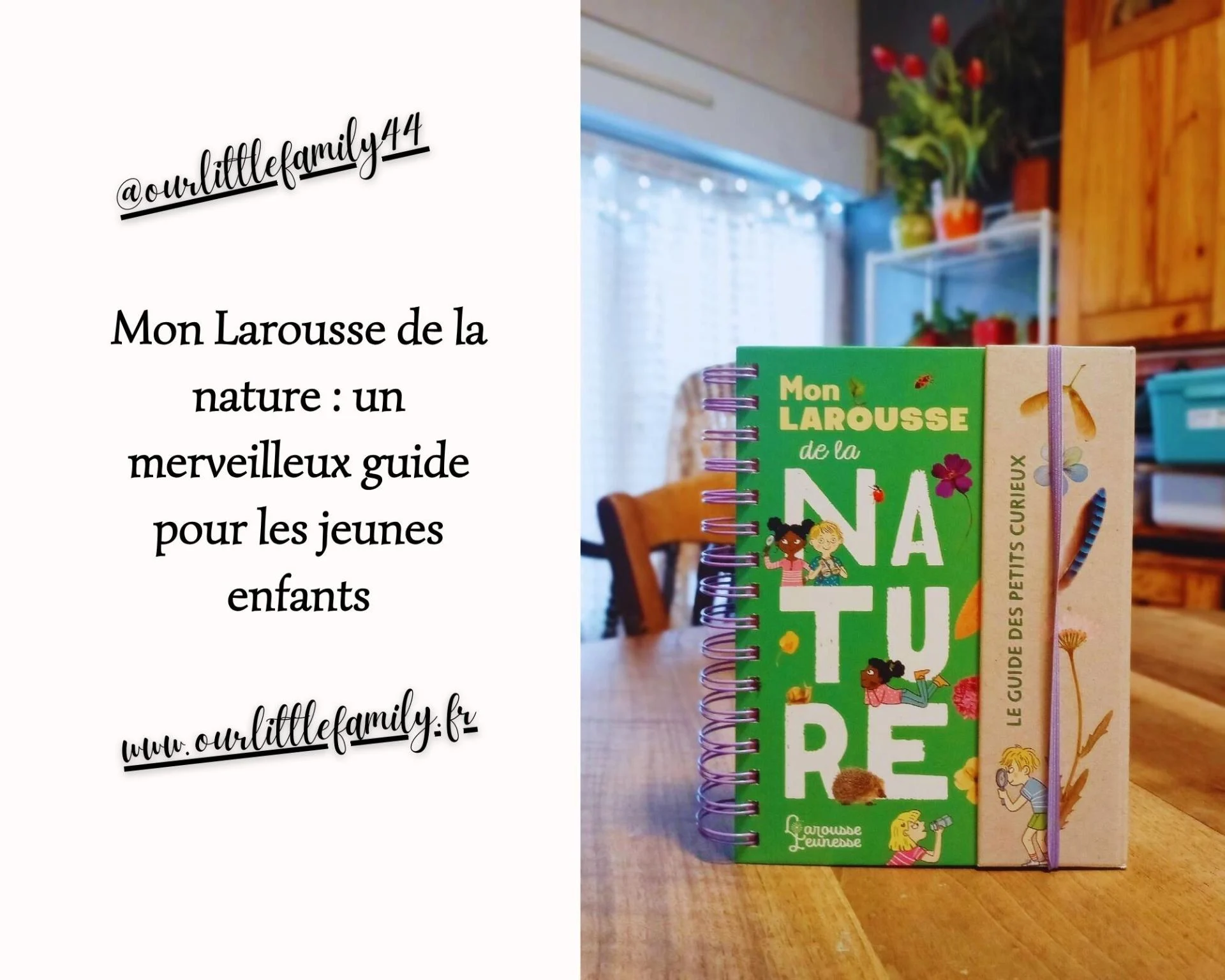 Mon larousse de la nature un merveilleux guide pour les jeunes enfants