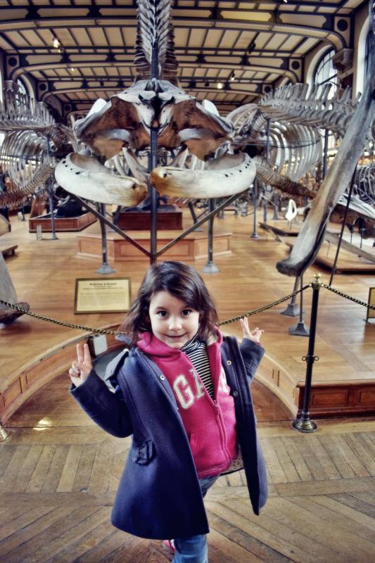 Museum d histoire naturelle paris 11