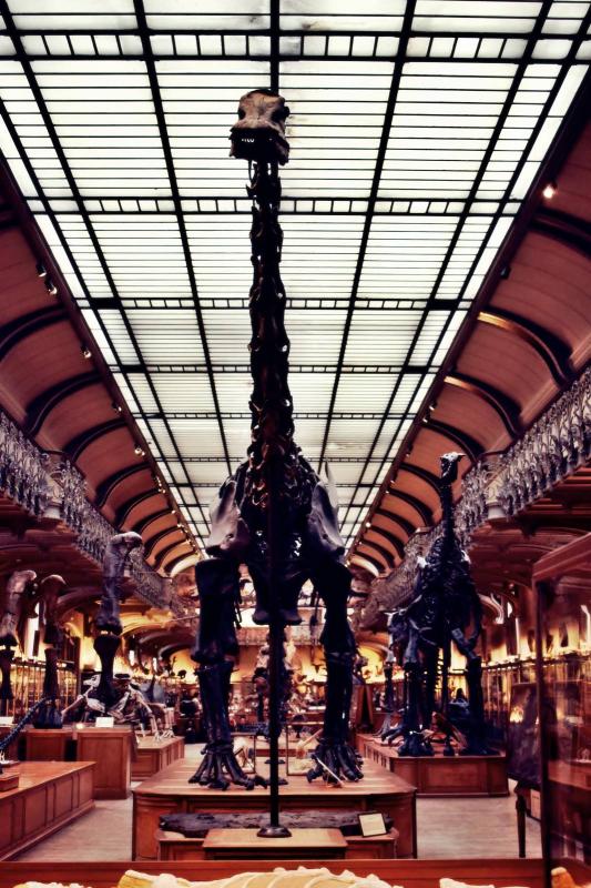 Museum d histoire naturelle paris 15