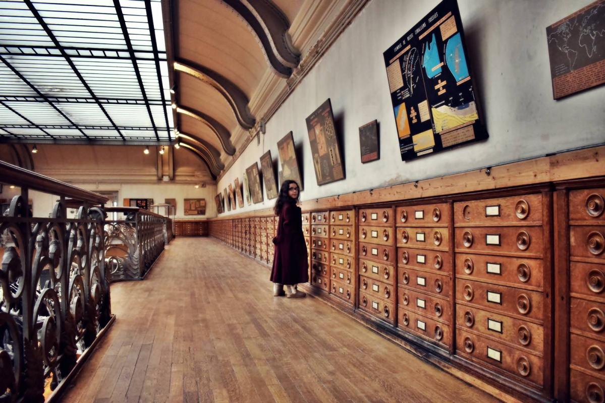 Museum d histoire naturelle paris 24