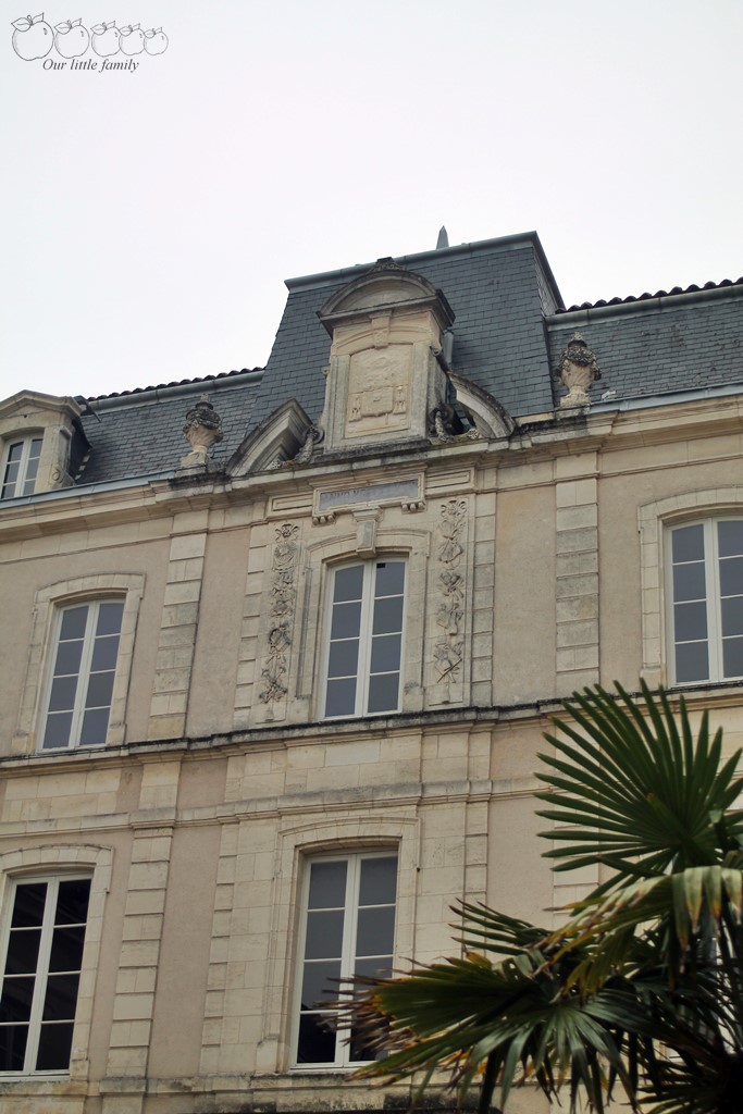 Museum d histoire naturelle rochelle