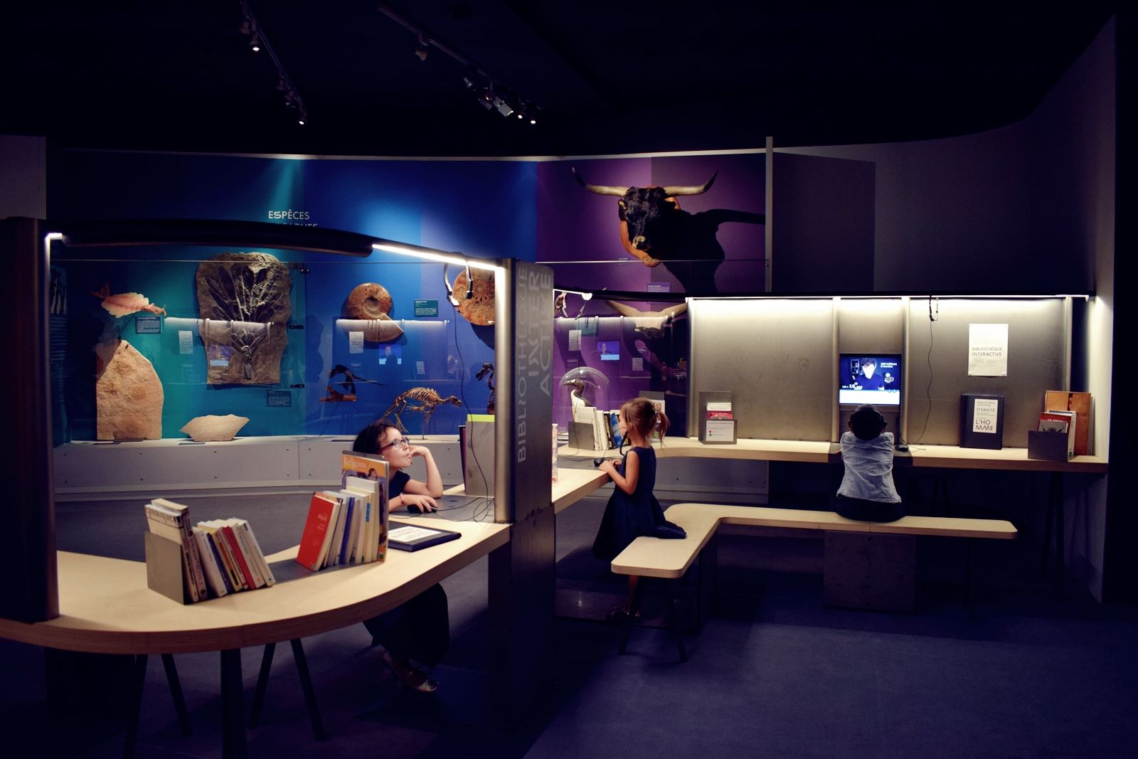 Nantes museum d histoire naturelle loire atlantique