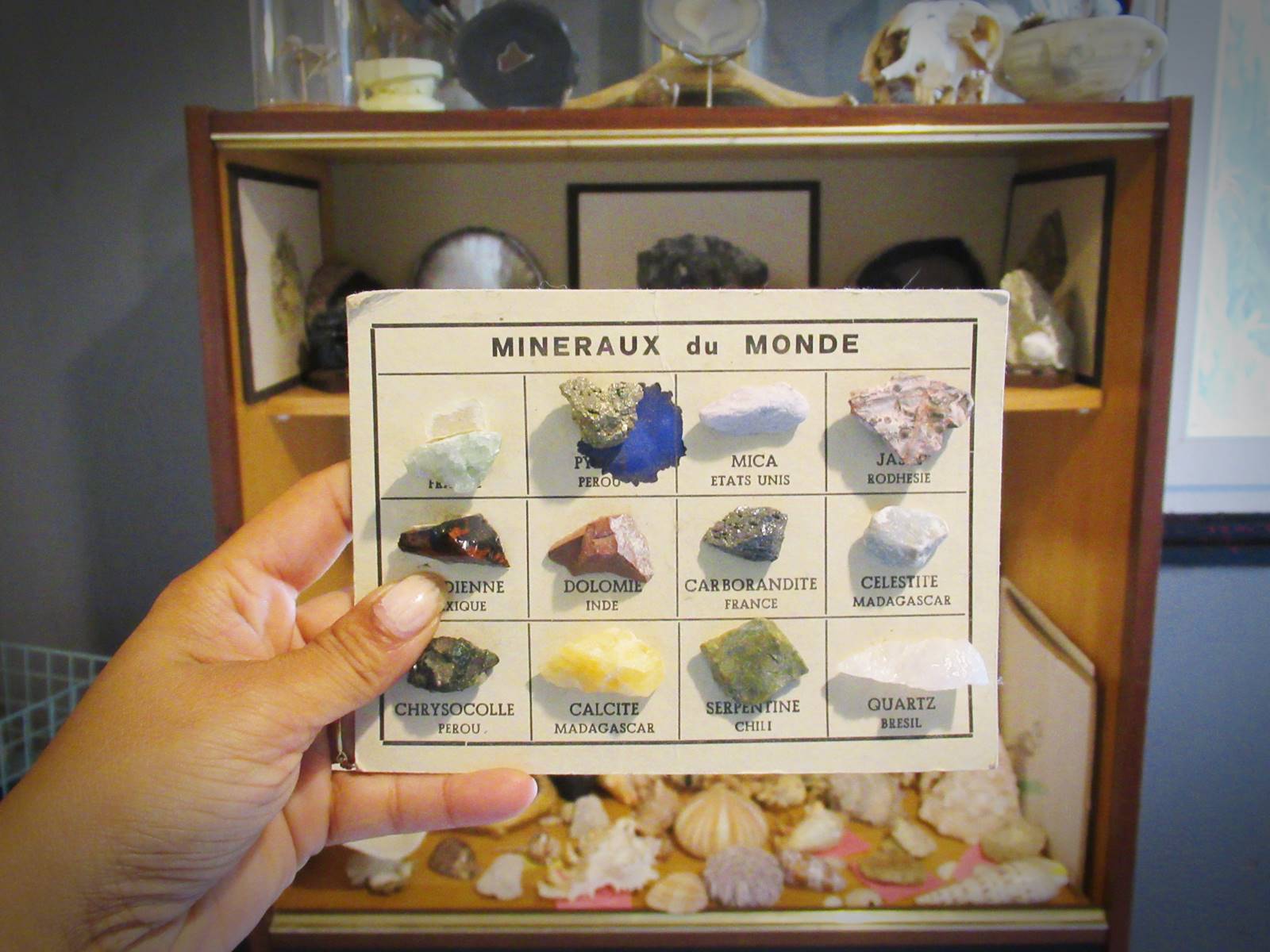 Nos apprentissages autour des mineraux 2