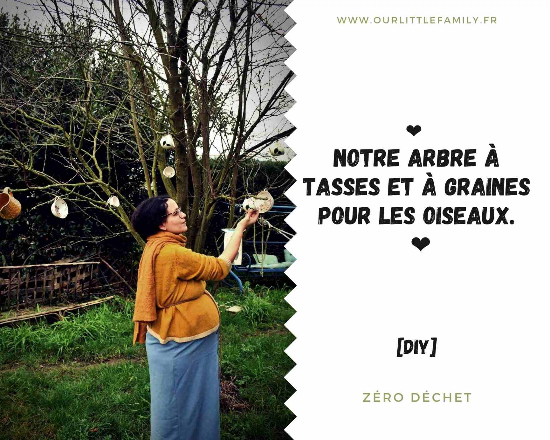 Notre arbre a tasses et a graines diy