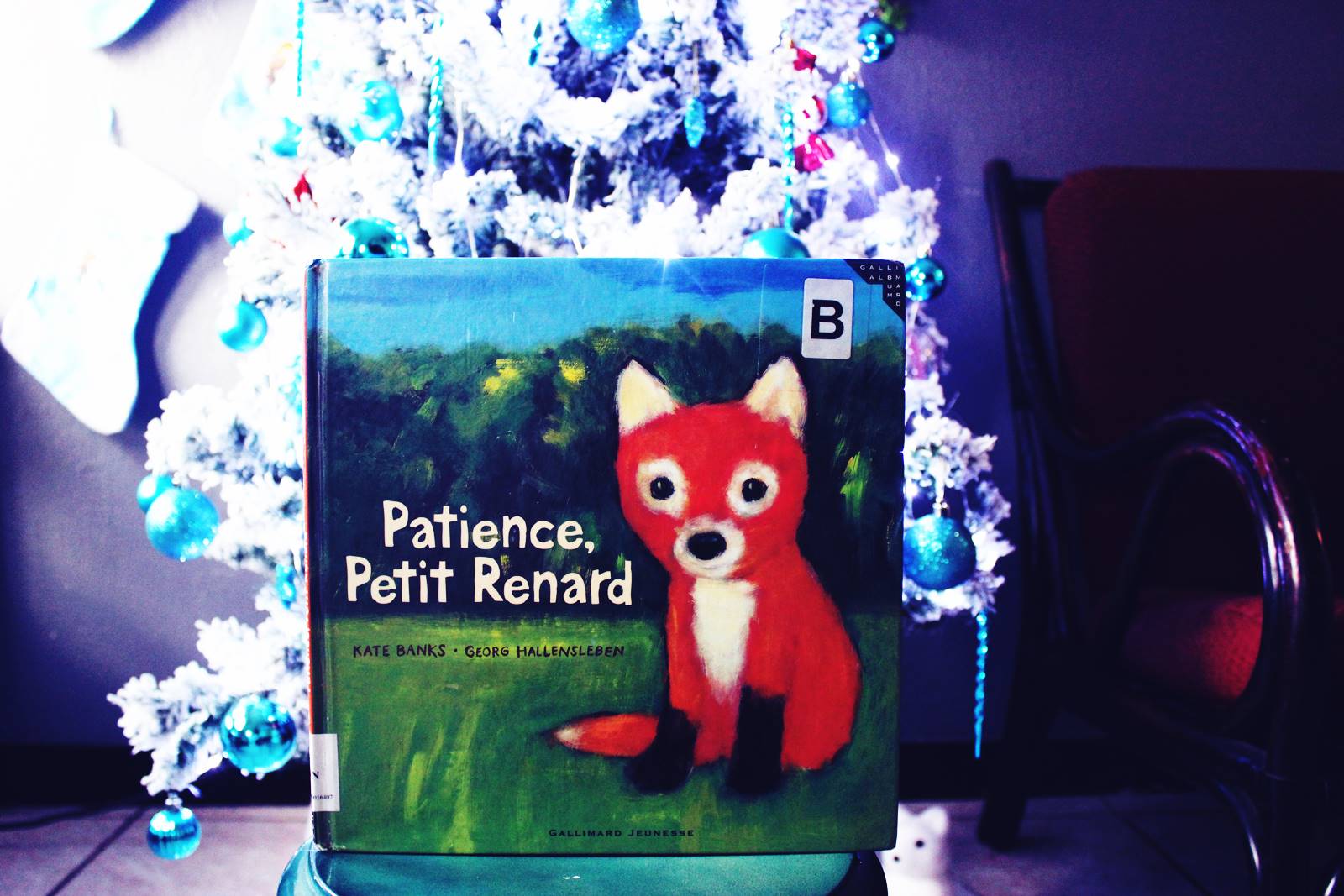 Patience petit renard gallimard jeunesse livre jeunesse