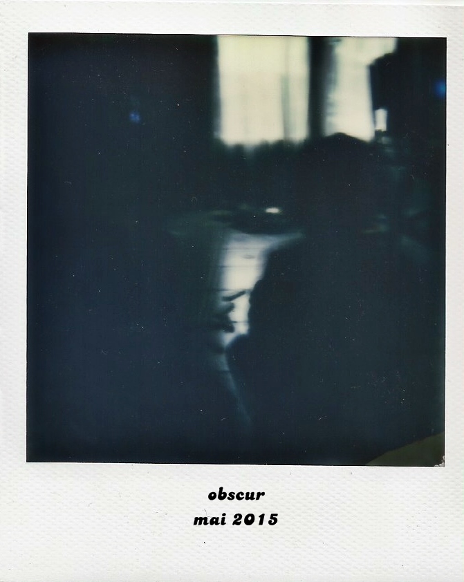 Polaroid 600 6 bis