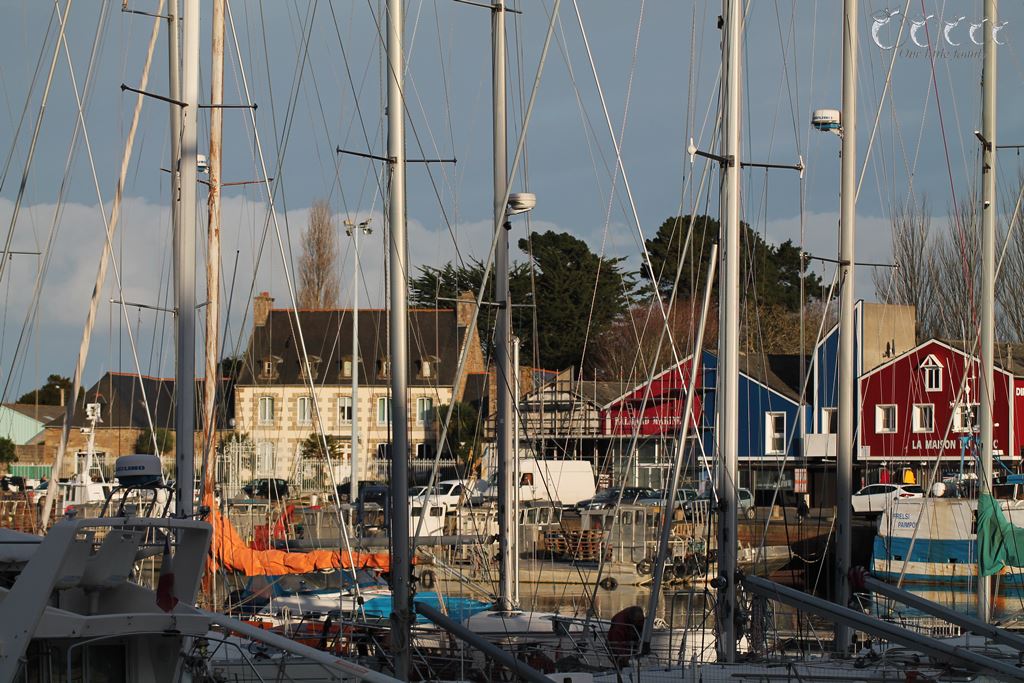 Presque adieu paimpol 10