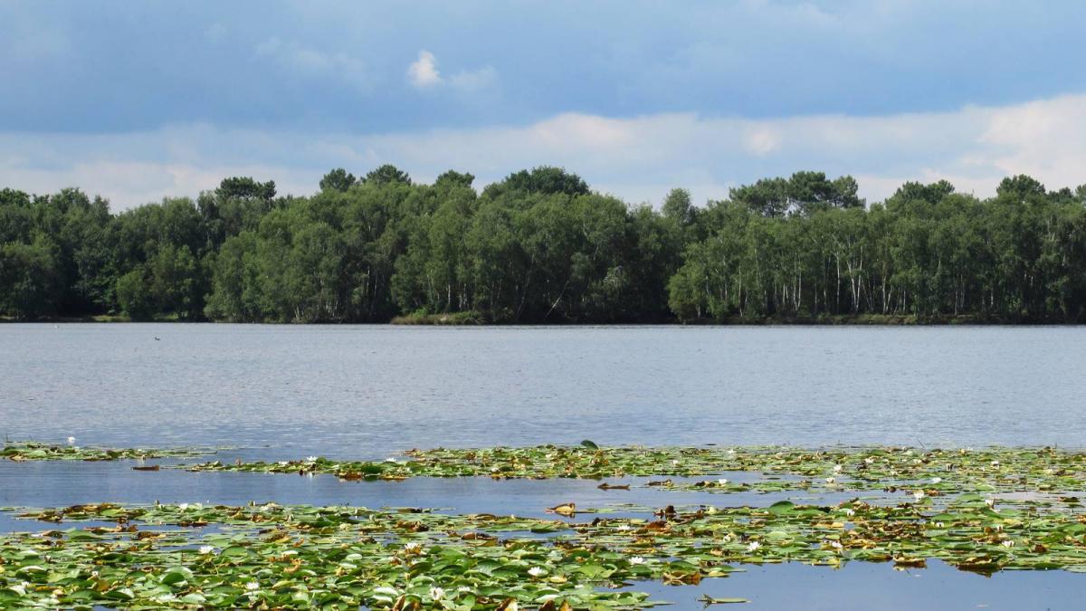 Randonnee etang de gruellau 13