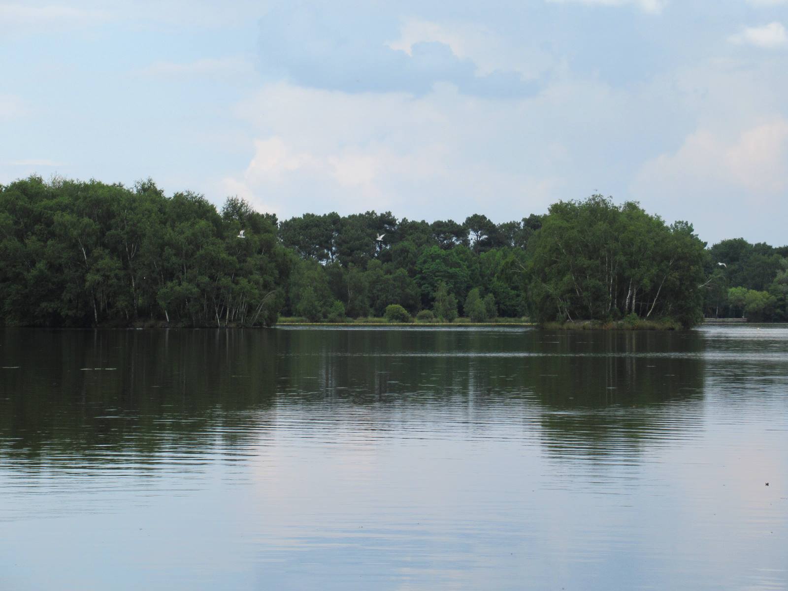 Randonnee etang de gruellau 19