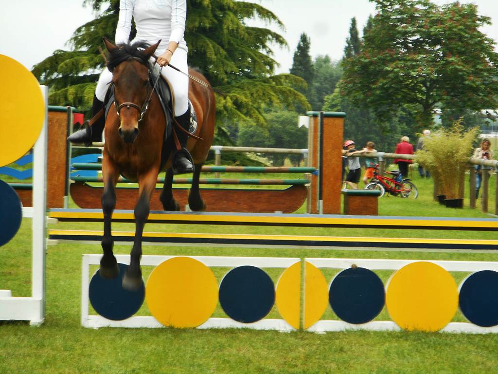 Saut a l obastacle equestre chateaubriant 5