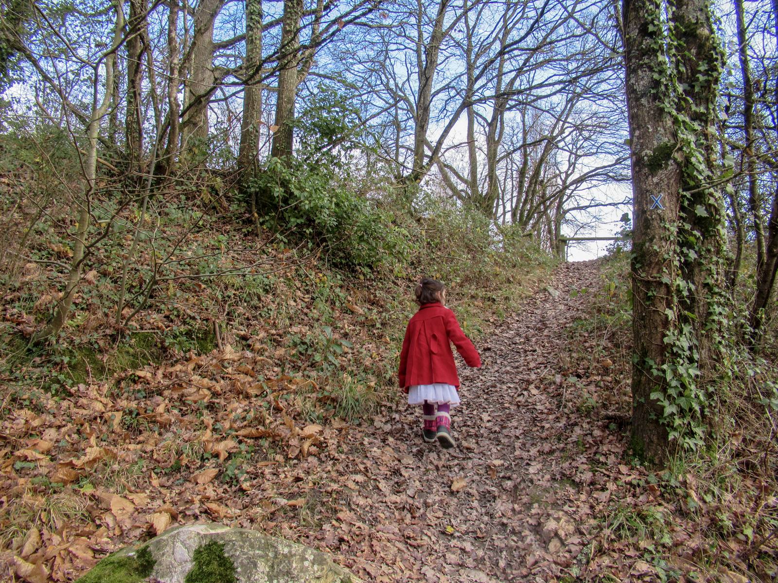 Sentier saint vincent des landesimg 7698