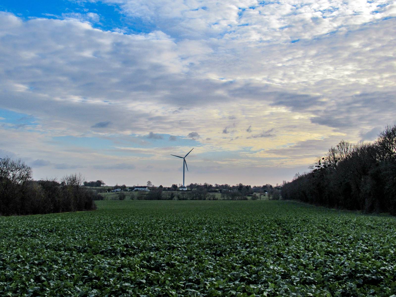 Sentier saint vincent des landesimg 7710