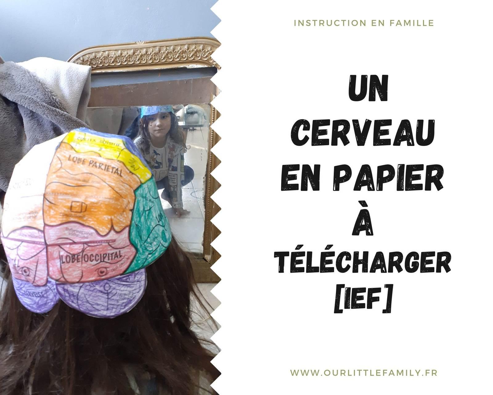 Un cerveau en papier iefun tableau printanier diy