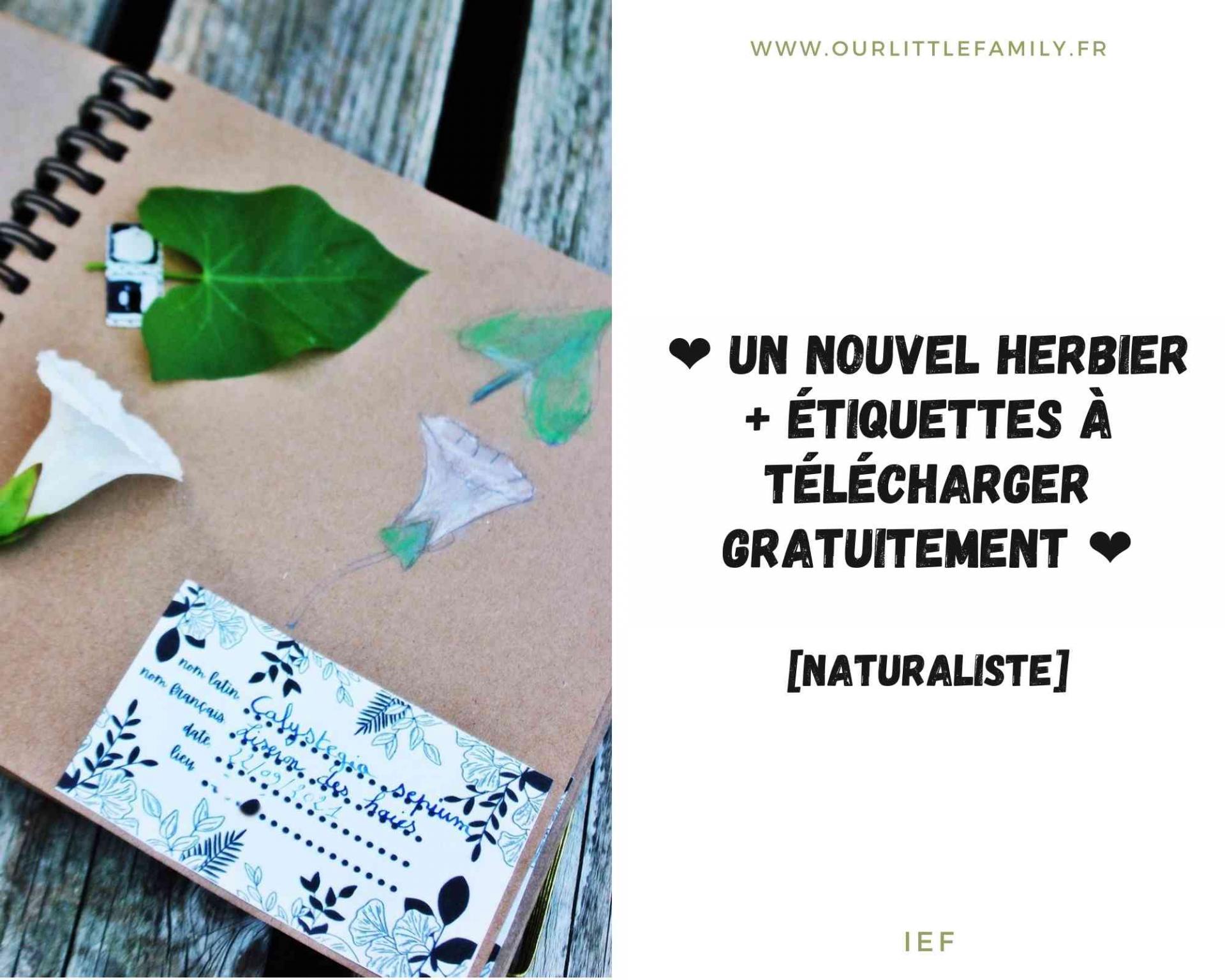 Un nouvel herbier etiquettes a telecharger gratuitement