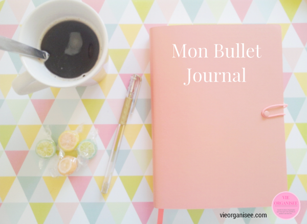 Vie organisee organisation planner organiseur bullet journal1 e1435513483506