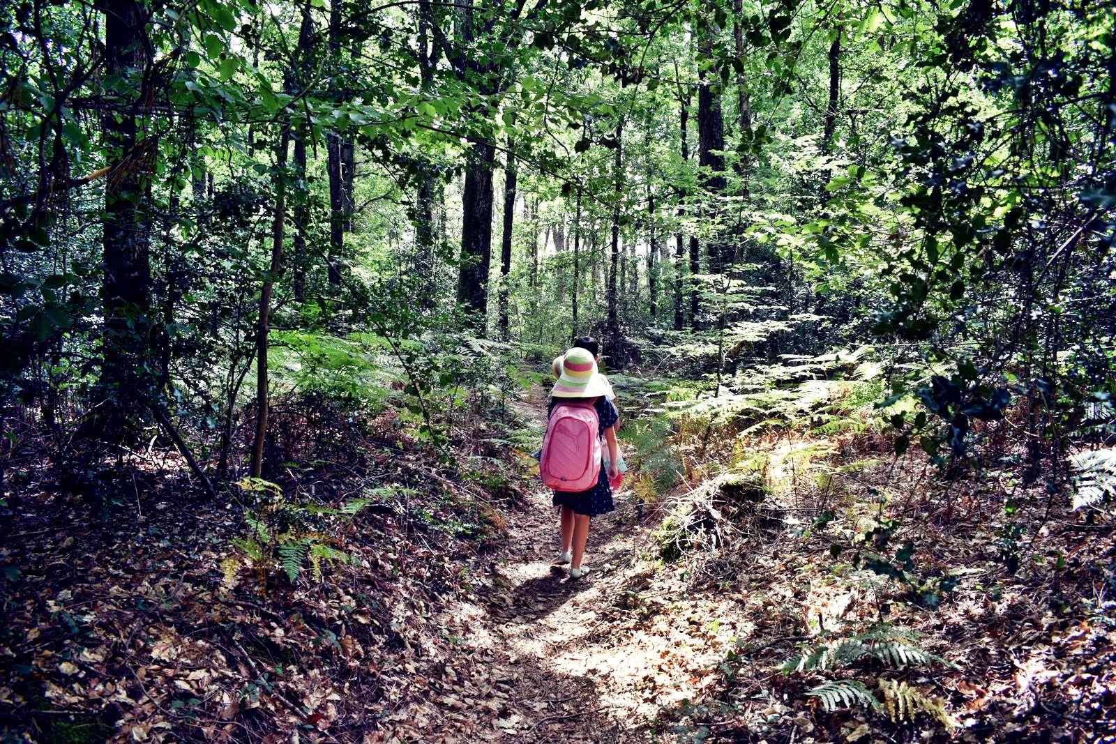 Vioreau foret joue sur erdre loire atlantique